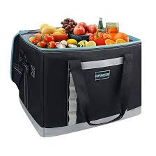 Insulated Cooler Bag